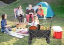 Transport-trolley-Travelo-cheffinger-altijd-korting-troll06
